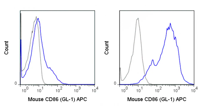 APC Anti-Mouse CD86 (B7-2) (GL-1)