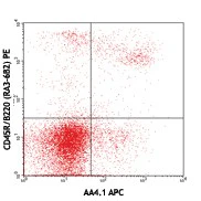 APC anti-mouse CD93 (AA4.1, early B lineage)