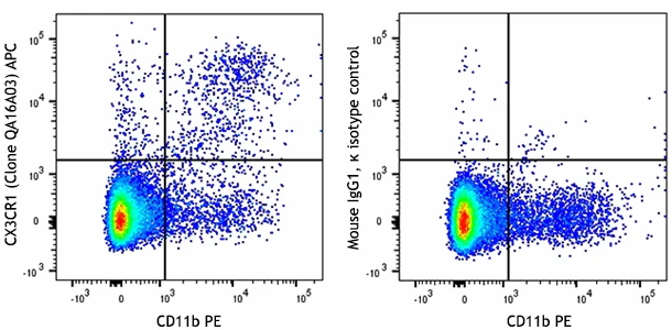 APC anti-mouse CX3CR1 Recombinant