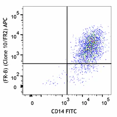 APC anti-mouse Folate Receptor β (FR-β)