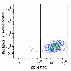 APC anti-mouse Folate Receptor β (FR-β) - Image 2