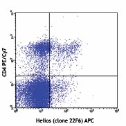 APC anti-mouse/human Helios - Image 2