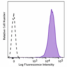 APC anti-mouse Integrin αVβ8