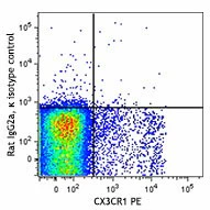 APC anti-mouse MERTK (Mer) - Image 2