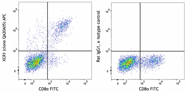 APC anti-mouse/rat XCR1 Recombinant