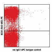APC anti-mouse Siglec H - Image 2