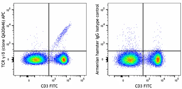 APC anti-mouse TCR γ/δ Recombinant