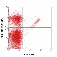 APC anti-mouse TCR Vα2