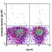 APC anti-mouse TCR Vγ2 - Image 2