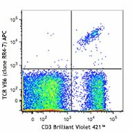 APC anti-mouse  TCR Vβ6