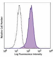 APC anti-NF-κB p65