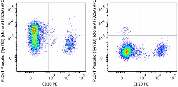 APC anti-PLCγ1 Phospho (Tyr783)