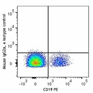 APC anti-Syk - Image 2