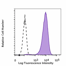 APC anti-Tubulin β 3 (TUBB3)
