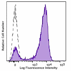 APC/Cyanine7 anti-human CD177