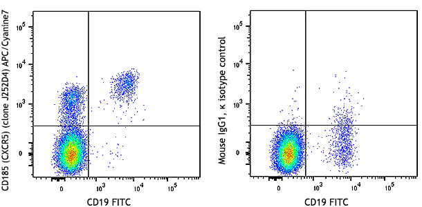 APC/Cyanine7 anti-human CD185 (CXCR5)