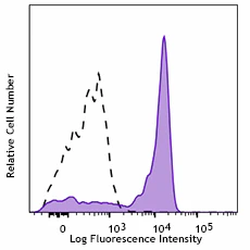 APC/Cyanine7 anti-human CD192 (CCR2)