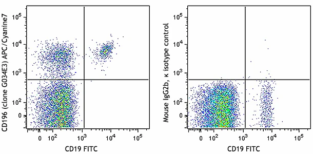 APC/Cyanine7 anti-human CD196 (CCR6)