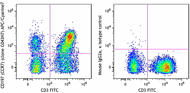 APC/Cyanine7 anti-human CD197 (CCR7)