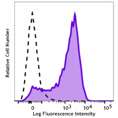 APC/Cyanine7 anti-human CD209 (DC-SIGN)