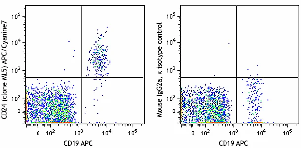 APC/Cyanine7 anti-human CD24