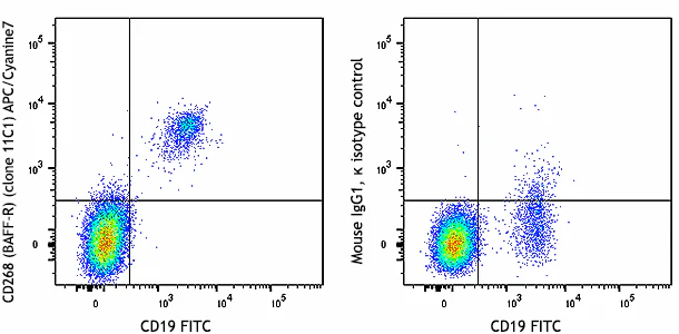 APC/Cyanine7 anti-human CD268 (BAFF-R)
