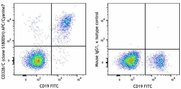 APC/Cyanine7 anti-human CD32B/C