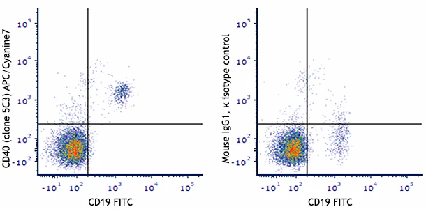APC/Cyanine7 anti-human CD40