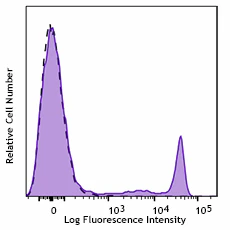 APC/Cyanine7 anti-human CD8