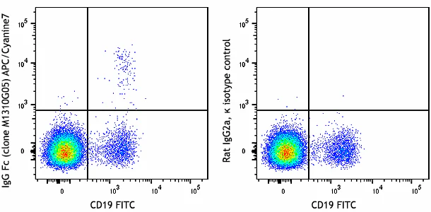 APC/Cyanine7 anti-human IgG Fc