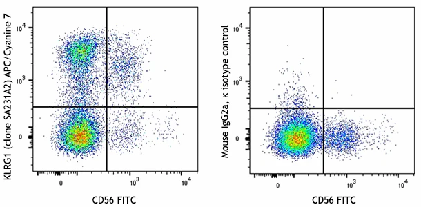 APC/Cyanine7 anti-human KLRG1 (MAFA)