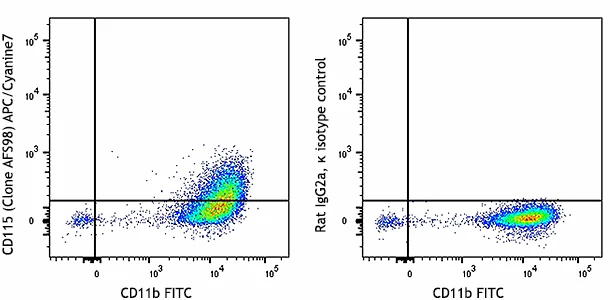 APC/Cyanine7 anti-mouse CD115 (CSF-1R)