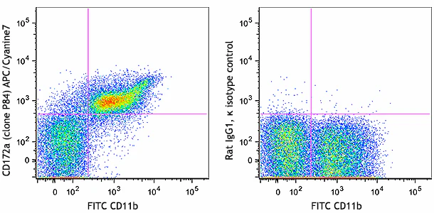 APC/Cyanine7 anti-mouse CD172a (SIRPα)