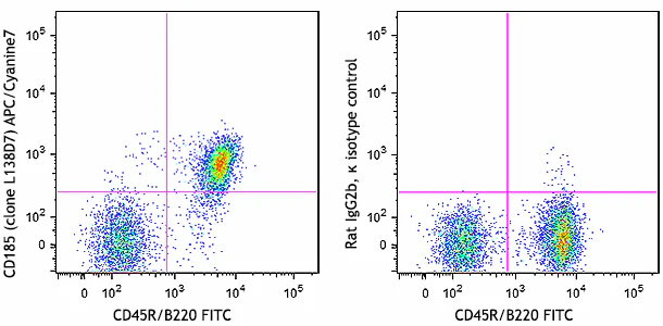 APC/Cyanine7 anti-mouse CD185 (CXCR5)