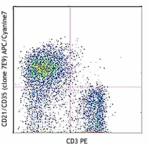 APC/Cyanine7 anti-mouse CD21/CD35 (CR2/CR1)