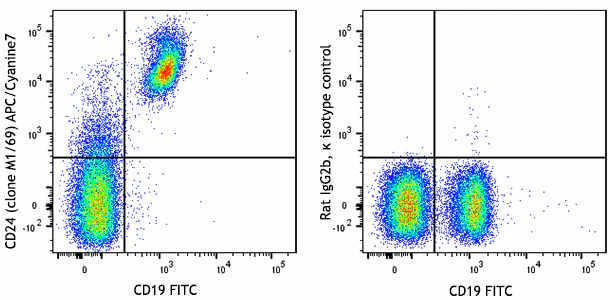 APC/Cyanine7 anti-mouse CD24