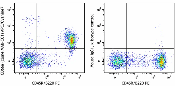 APC/Cyanine7 anti-mouse CD66a (CEACAM1a)