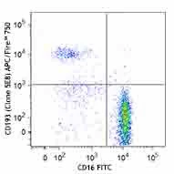 APC/Fire™ 750 anti-human CD193 (CCR3)