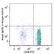 APC/Fire™ 750 anti-human CD193 (CCR3) - Image 2