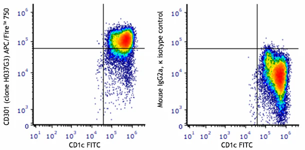 APC/Fire™ 750 anti-human CD301 (CLEC10A)