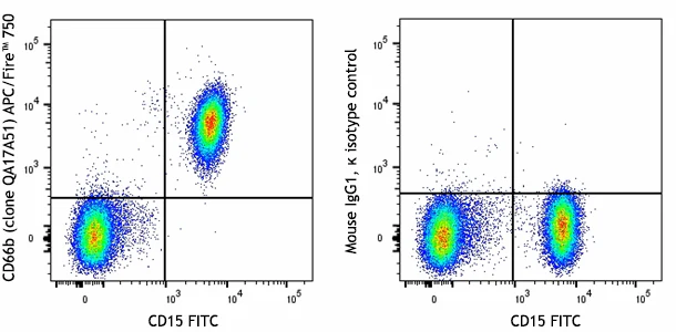 APC/Fire™ 750 anti-human CD66b Recombinant