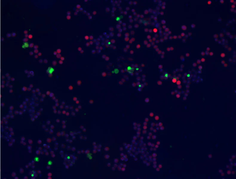Apotracker™ Green - Image 3