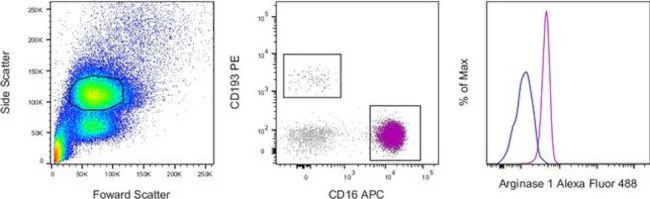 Arginase 1 Monoclonal Antibody (A1exF5), Alexa Fluor 488, eBioscience