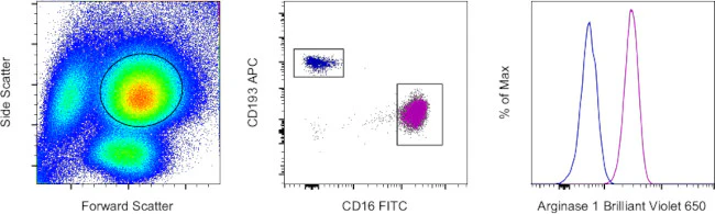 Arginase 1 Monoclonal Antibody (A1exF5), Brilliant Violet 650, eBioscience