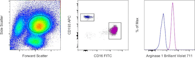Arginase 1 Monoclonal Antibody (A1exF5), Brilliant Violet 711, eBioscience