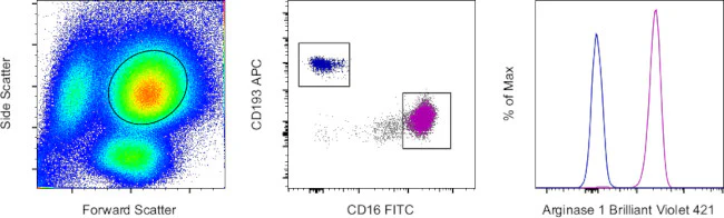 Arginase 1 Monoclonal Antibody (A1exF5), Brilliant Violet™ 421