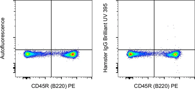 Armenian Hamster IgG Isotype Control (eBio299Arm), Brilliant Ultra Violet 395, eBioscience