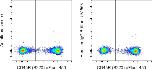 Armenian Hamster IgG Isotype Control (eBio299Arm), Brilliant Ultra Violet 563, eBioscience