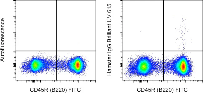 Armenian Hamster IgG Isotype Control (eBio299Arm), Brilliant Ultra Violet 615, eBioscience