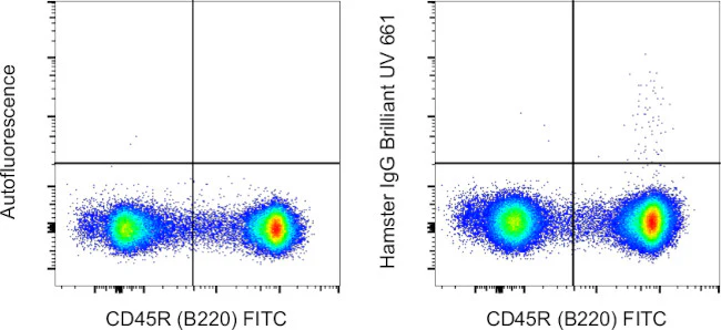 Armenian Hamster IgG Isotype Control (eBio299Arm), Brilliant Ultra Violet 661, eBioscience